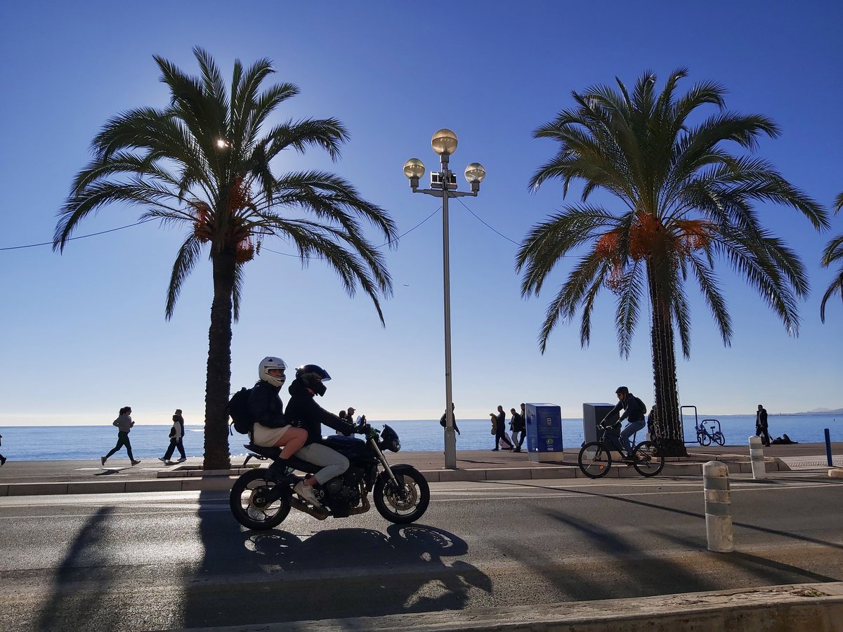 veewalkerwrites's tweet photo. Locations which inspired my #BBCNSSA 2024 shortlisted story, #NiceDog, to be read by @IgnatiusSancho on Thurs 19/9, 15.30 UK time @BBCRadio4, based on a real encounter last Xmas in the Old Town @VilledeNice ❤ 🇲🇫 🐾 @CeliaImrie (#CoursSaleya!) @HighlandLIT @ed_pr @litandcw_ice https://t.co/gmvFDDraMo