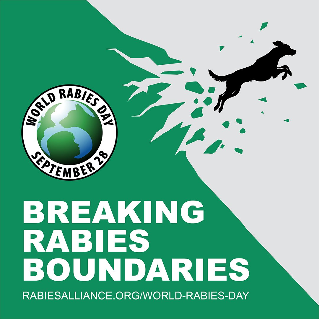 World Rabies Day is coming!
Have you registered for the World Rabies Day webinar on Tue 1 October? Sign up now to hear how APHA is joining with key international players in the fight against rabies: events.teams.microsoft.com/event/e14111e0…
#Rabies #WorldRabiesDay2024