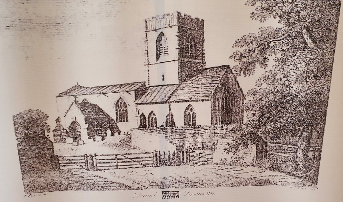 Nikki Arthy tweet media