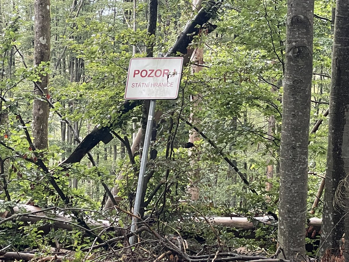 Hier will also Nancy patrouillieren lassen. Na, ich bin gespannt was das bringen soll, vor allem gegen Gefahren aus dem Inneren. Aber vielleicht sollte ich mich beim Zoll bewerben, um mir Wandertouren bezahlen zu lassen. 😉