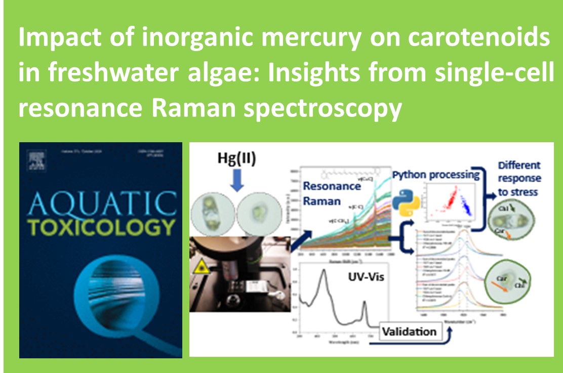 Slaveykova Vera (@ecotox_unige) on Twitter photo We are excited to share our first collaborative paper with Prof. Pinzaru’s team from <a href="/UnivBabesBolyai/">Babeș-Bolyai University (UBB)</a>.doi.org/10.1016/j.aqua…. We are excited to share our first collaborative paper with Prof. Pinzaru’s team from <a href="/UnivBabesBolyai/">Babeș-Bolyai University (UBB)</a>.doi.org/10.1016/j.aqua….