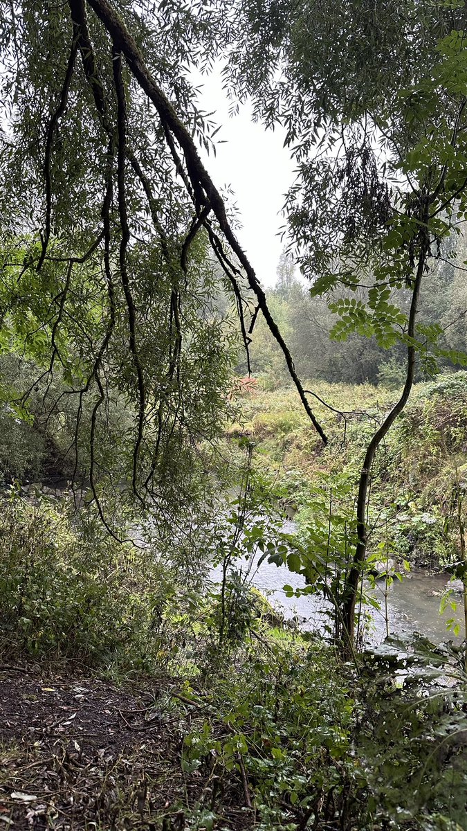 First long run completed 💪🏼