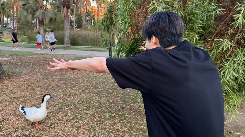 mcdtournesol's tweet image. รูปปก                                   รูปด้านใน

คือแจมินบ๊องมาก ดูทำหน้าตา อย่าบอกน้ะ ว่าวิ่งไล่เป็ด?? 555555555555555555555555 ซนอะ