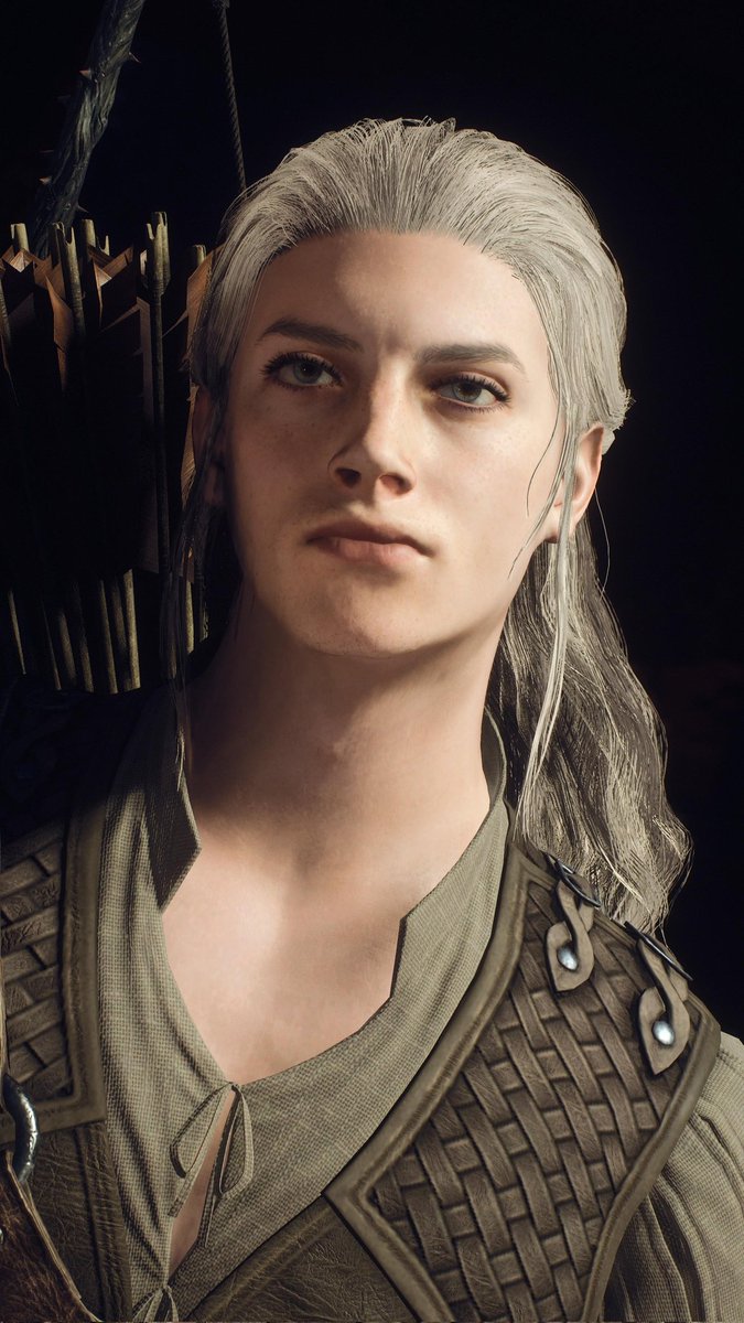 しましま犬 tweet media