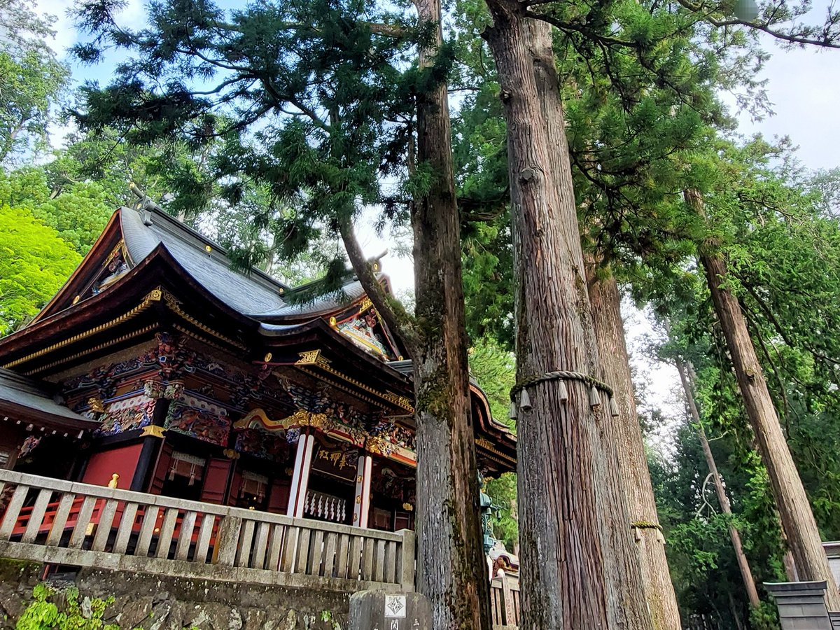 GSA1010Z's tweet photo. 三峯神社（埼玉県秩父市）
2024.9.14
関東屈指のパワースポットへ
初めてお参りしました⛩️

三峯神社では神様のご巻属として
崇められている狼「お犬さま」が
狛犬の代わりに神社を守っています。
その姿は様々でとても興味深く
時間を忘れそうでした。 https://t.co/jPNhcyUm82