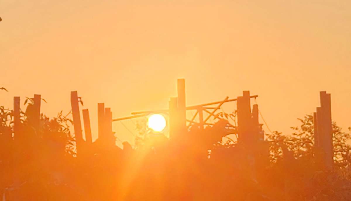 September 15th, 2024, things to do with US English word colors /UK English word colours <a href="/SJE32/">Steve Elliott</a> <a href="/vidman/">Vidman 🇨🇦</a> <a href="/brittlestar/">Brittlestar</a> <a href="/AMDaveintheAM/">Radioguy Dave</a> <a href="/Liam_Ball92/">Liam Ball</a> #shareyourweather <a href="/CTVKitchener/">CTV Kitchener</a> #Wxwatcher <a href="/TriCityRT/">Waterloo Region Tri-City RT</a> @JessicaSmithCTV <a href="/gtaweather1/">Doug Gillham</a> <a href="/KMacTWN/">Kim MacDonald 🌻</a> <a href="/MurphTWN/">Chris Murphy TWN</a> <a href="/SpaceCoastSkies/">Space Coast Skies🚀🌞🌴</a> <a href="/coko9718/">Coko♍️ 🖤🖤🖤</a>