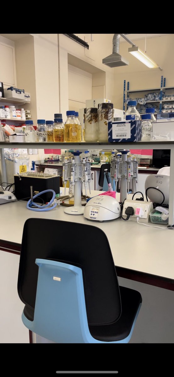 XenosInScience's tweet image. Finished my first week as a postdoc at @AstonAIME, @AstonUniversity, working on bacterial membranes. Happy to join such an excellent place 😊