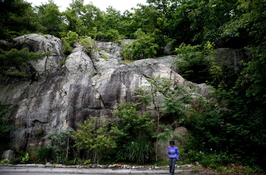 “Why would we take down 14 acres of tree canopy and replace a natural carbon-sequestering cooling center and wildlife refuge with a car-centric, gentrified heat island?” write two members of <a href="/CraneLedgeInfo/">Crane Ledge Woods Coalition</a> in #GlobeLetters. trib.al/D2XpSAy