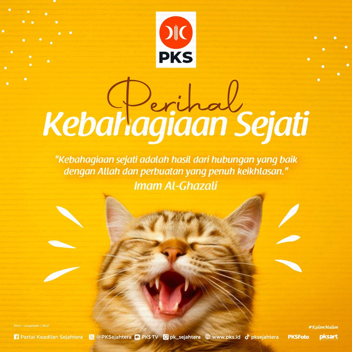 DPP PKS tweet media