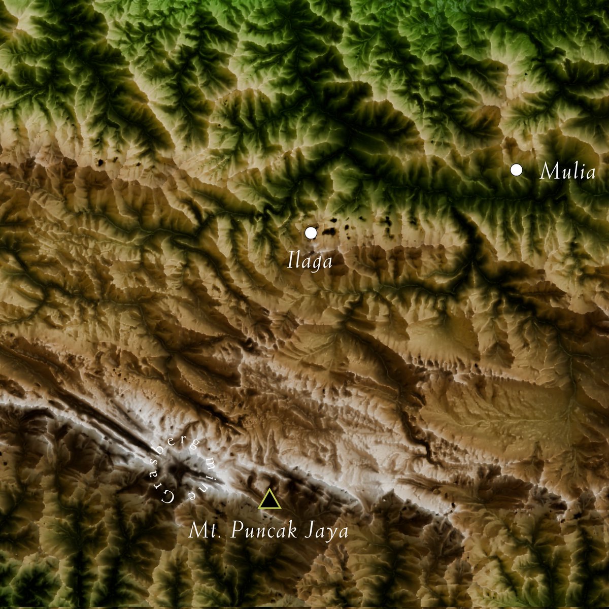 pixelattemaps's tweet photo. Here’s a #shadedrelief map of #CentralPapua. Formed in 2022, the province is home to #PuncakJaya, Indonesia’s highest peak with a permanent glacier. The northern lowlands meet #CenderawasihBay, known for its diverse marine life, coral reefs, and whale sharks #3DMap #Blender #QGIS https://t.co/Fl95tYcExF