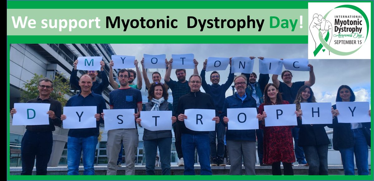 Institut de Myologie (@inst_myologie) on Twitter photo Today is #MyoyonicDystrophy international awareness day.
Our research DM1 team is proud to support! 💚💚💚
🔎 Discover more about their research and ongoing clinical trials in #DM1 ➡️ institut-myologie.org/2024/09/15/le-…
<a href="/MyotonicStrong/">Myotonic Dystrophy Foundation</a> <a href="/researchmyology/">Centre of Research in Myology (UMRS 974)</a> <a href="/Telethon_France/">AFM-Téléthon</a> <a href="/BiotherapiesIns/">Biotherapies_Inst</a> Today is #MyoyonicDystrophy international awareness day.
Our research DM1 team is proud to support! 💚💚💚
🔎 Discover more about their research and ongoing clinical trials in #DM1 ➡️ institut-myologie.org/2024/09/15/le-…
<a href="/MyotonicStrong/">Myotonic Dystrophy Foundation</a> <a href="/researchmyology/">Centre of Research in Myology (UMRS 974)</a> <a href="/Telethon_France/">AFM-Téléthon</a> <a href="/BiotherapiesIns/">Biotherapies_Inst</a>