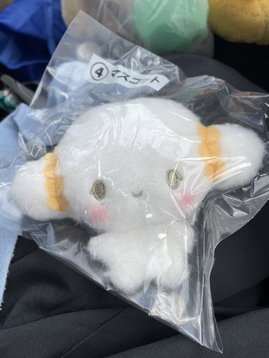 ちょっと！！パートナーがお迎えしてくれた！！和泉さん(の中の人)の誕生日に来てくれるみゅんエモすぎ！