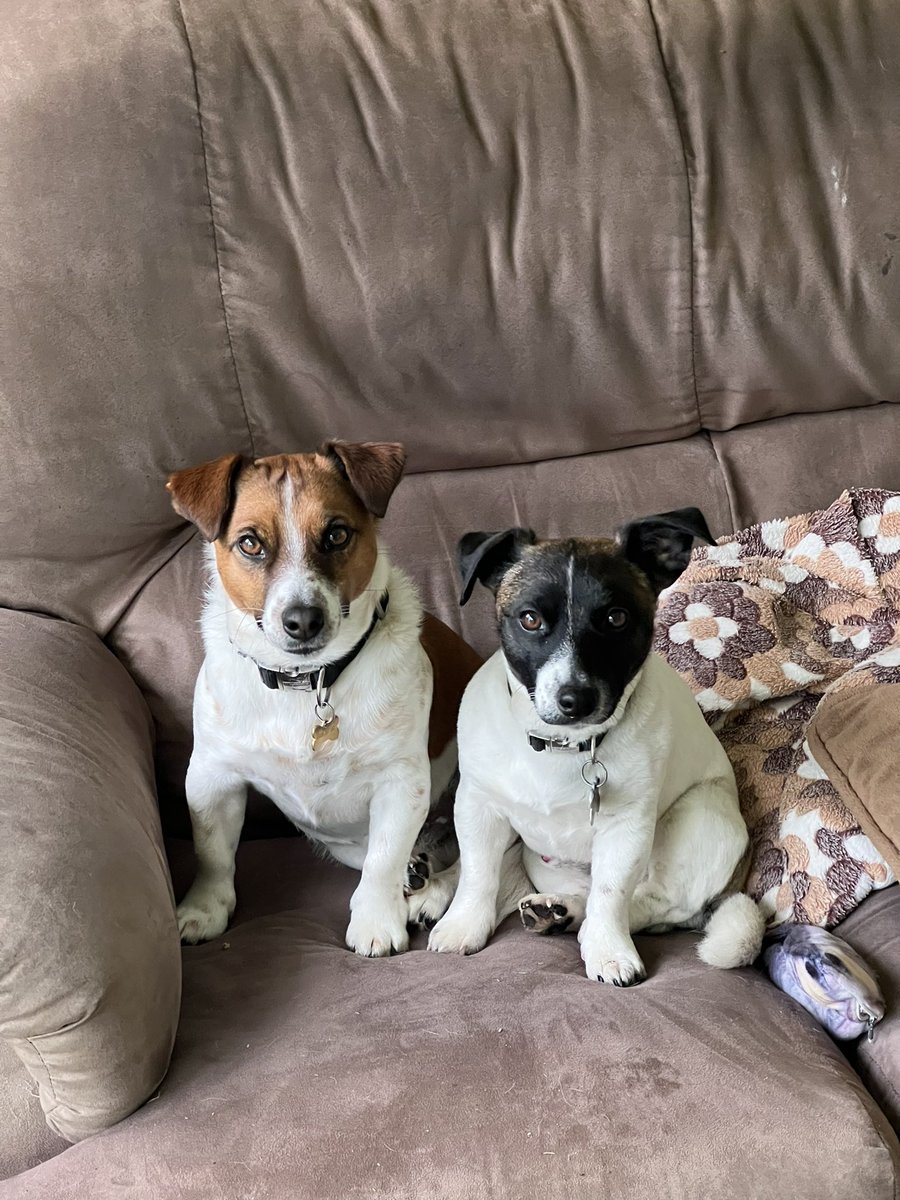 Super rare photo of both boys looking at the camera