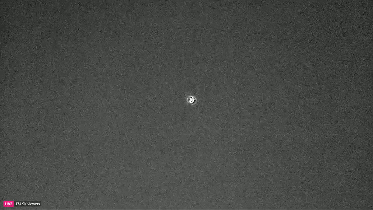 AstronautiCAST's tweet image. Le prime immagini di Resilience in rientro.
#PolarisDown