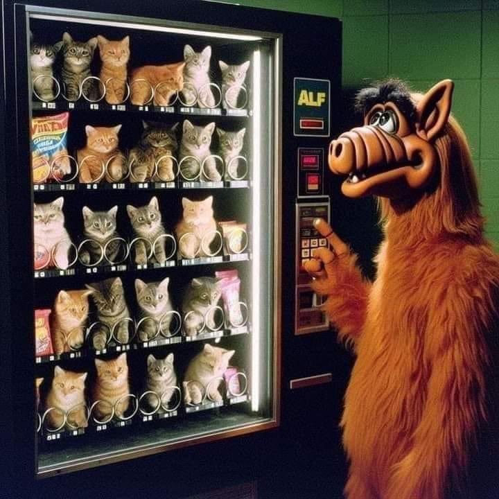 Neulich in Springfield, Ohio…