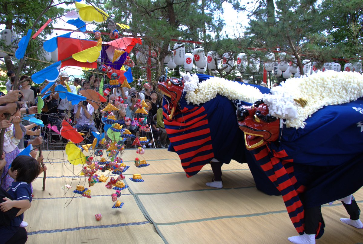 長島町の八幡神社で「八幡神社獅子舞」が行われました🙌300年以上の