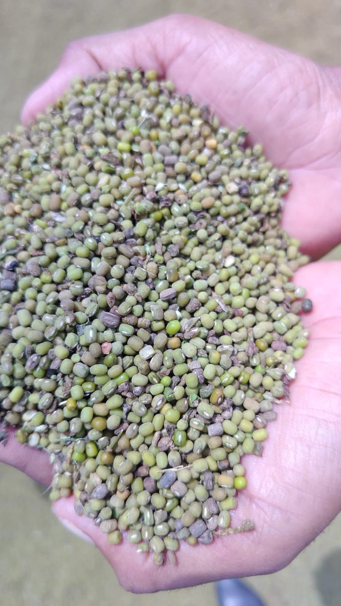 Satish Upadhyay tweet media