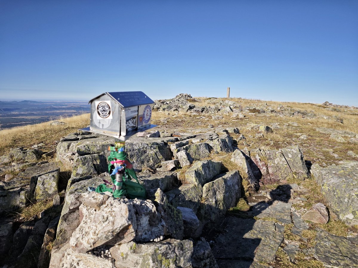 Javier Elena García tweet media