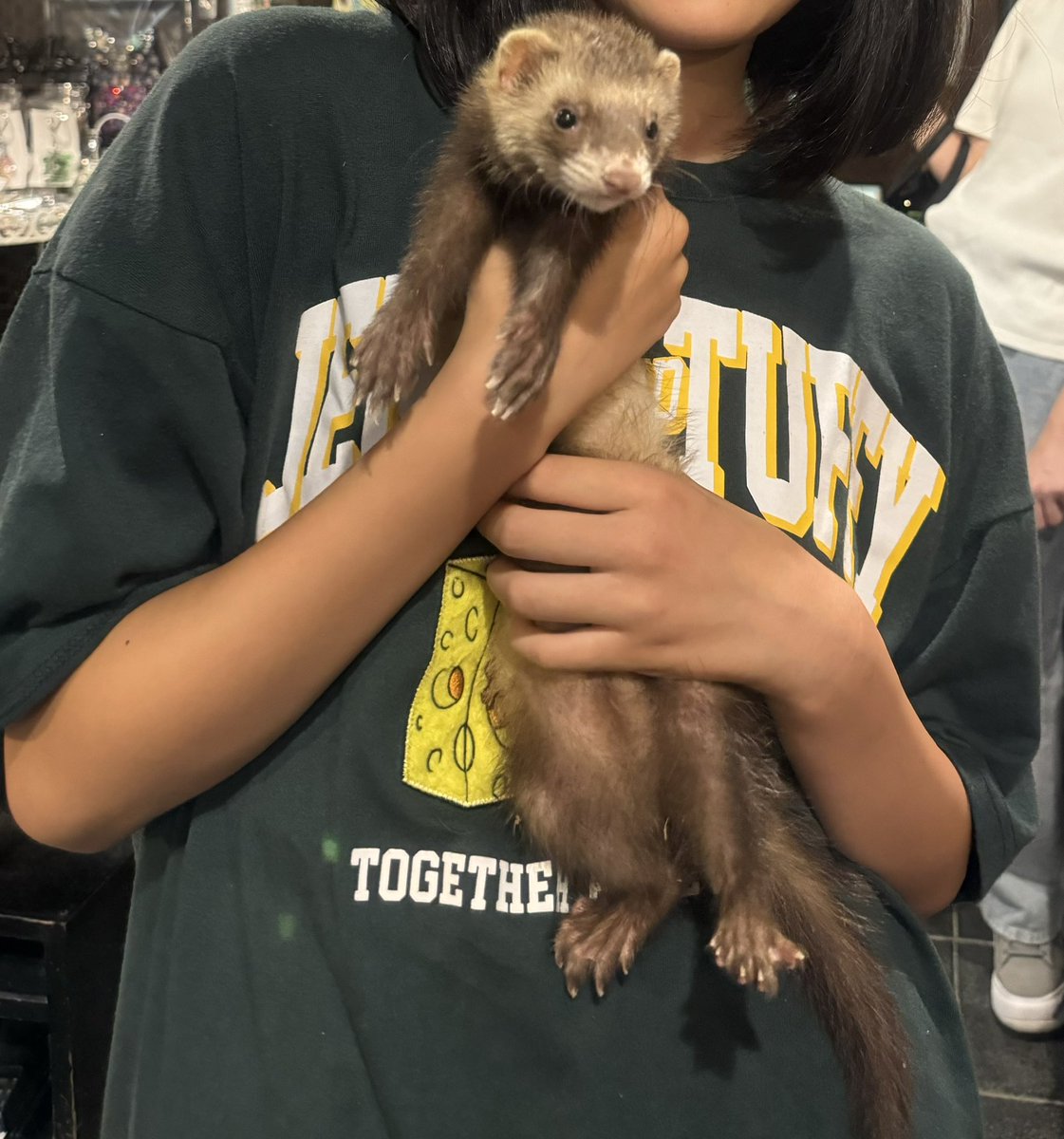 お迎えが決まっていたフェレット君新しいお家にお迎えされました🎶
遠いところからわざわざありがとうございました☺️
皆に沢山可愛がって貰って長生きしてね🥰
お幸せに🍀*゜
🐾かしわだ🐾
#ふくろうカフェRicky盛岡店
#お迎え報告