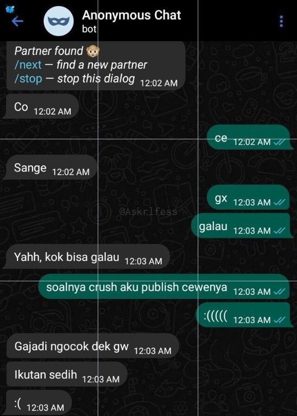 Kumpulan chat lucu kerandoman anonim di telegram😭🤣

- A Thread —