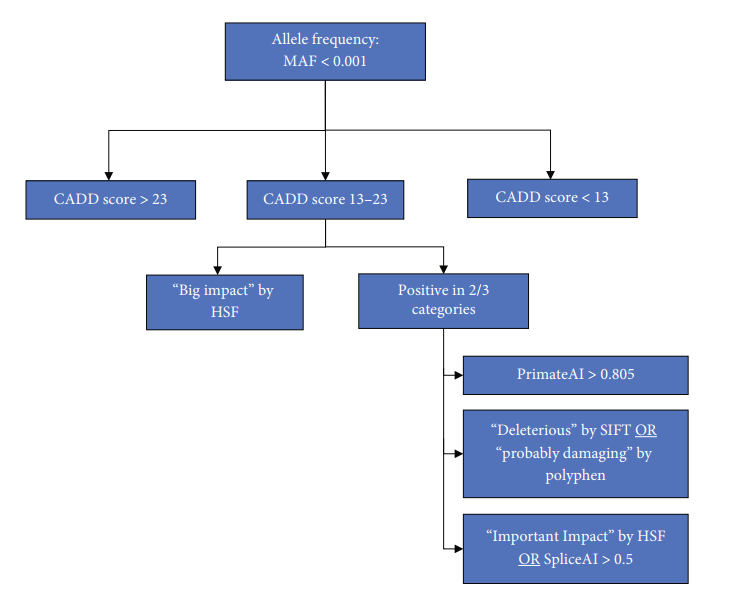 nikakhtar_ali's tweet photo. Estimating the Prevalence of GNE Myopathy Using Population Genetic Databases

👉 https://t.co/UaTm2S8BJX

#GNEMyopathy #NeuromuscularDisease #GeneticDatabase #RareDisease #PrevalenceEstimation #VariantPathogenicity https://t.co/KQ01JJGfsI