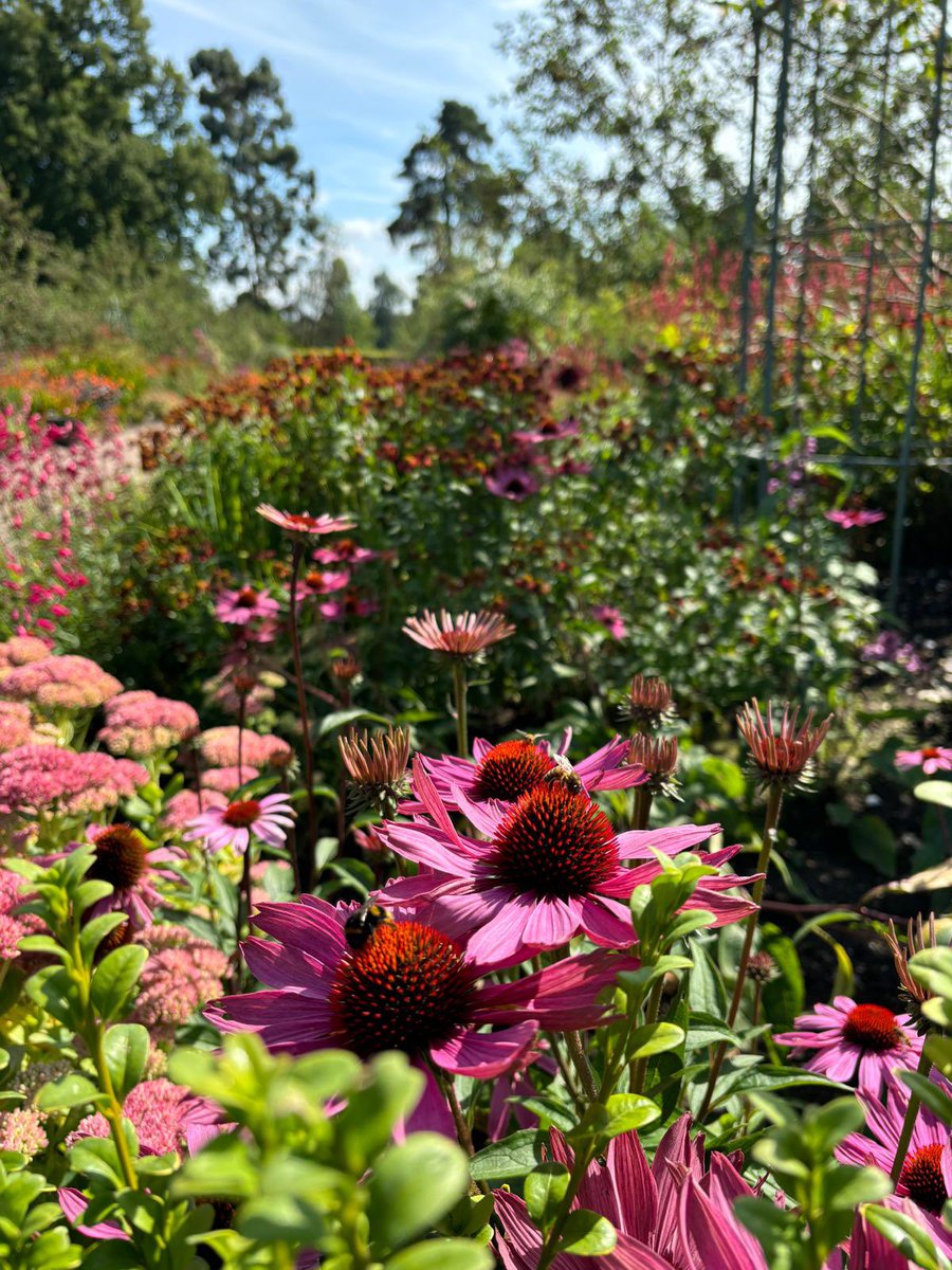 The sky may be grey but our gardens are not!