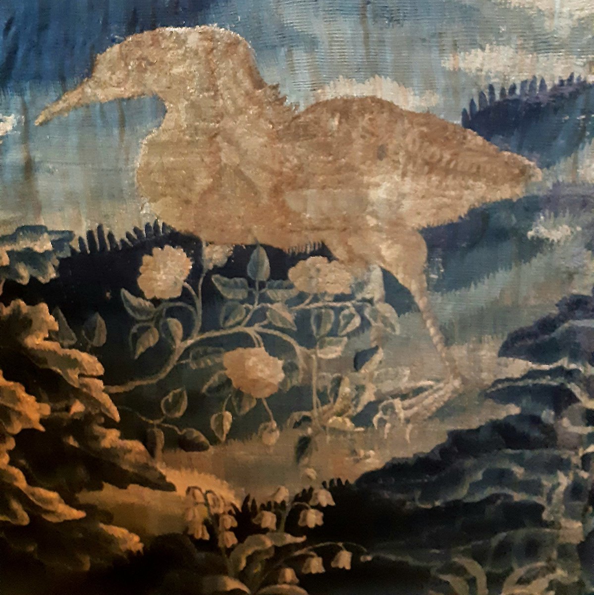 Vogels spotten in het stadhuis van Gouda 😍.