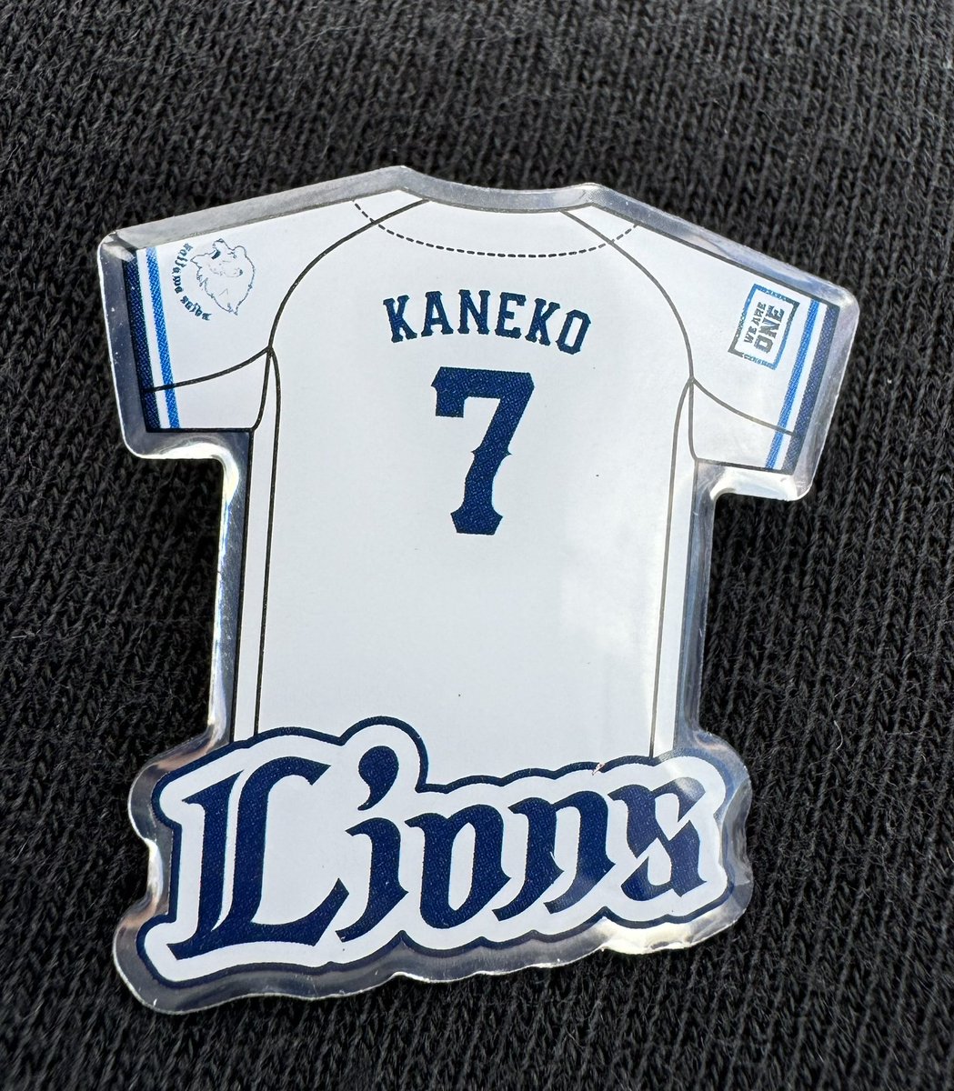 eritoraaa9's tweet photo. たまたま取った試合がネコさん引退セレモニーの日！ねこげん見られなくなるの寂しい🥹
 #seibulions https://t.co/Mv3qcRcHcU