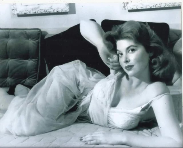 Okay, uh&hellip; Wow.  Someone just sent pictures of Tina Louise &mdash; and I now feel spiritually compelled to do<a href="/tag/mvsales"class="tags"><span>#mvsales</span></a>