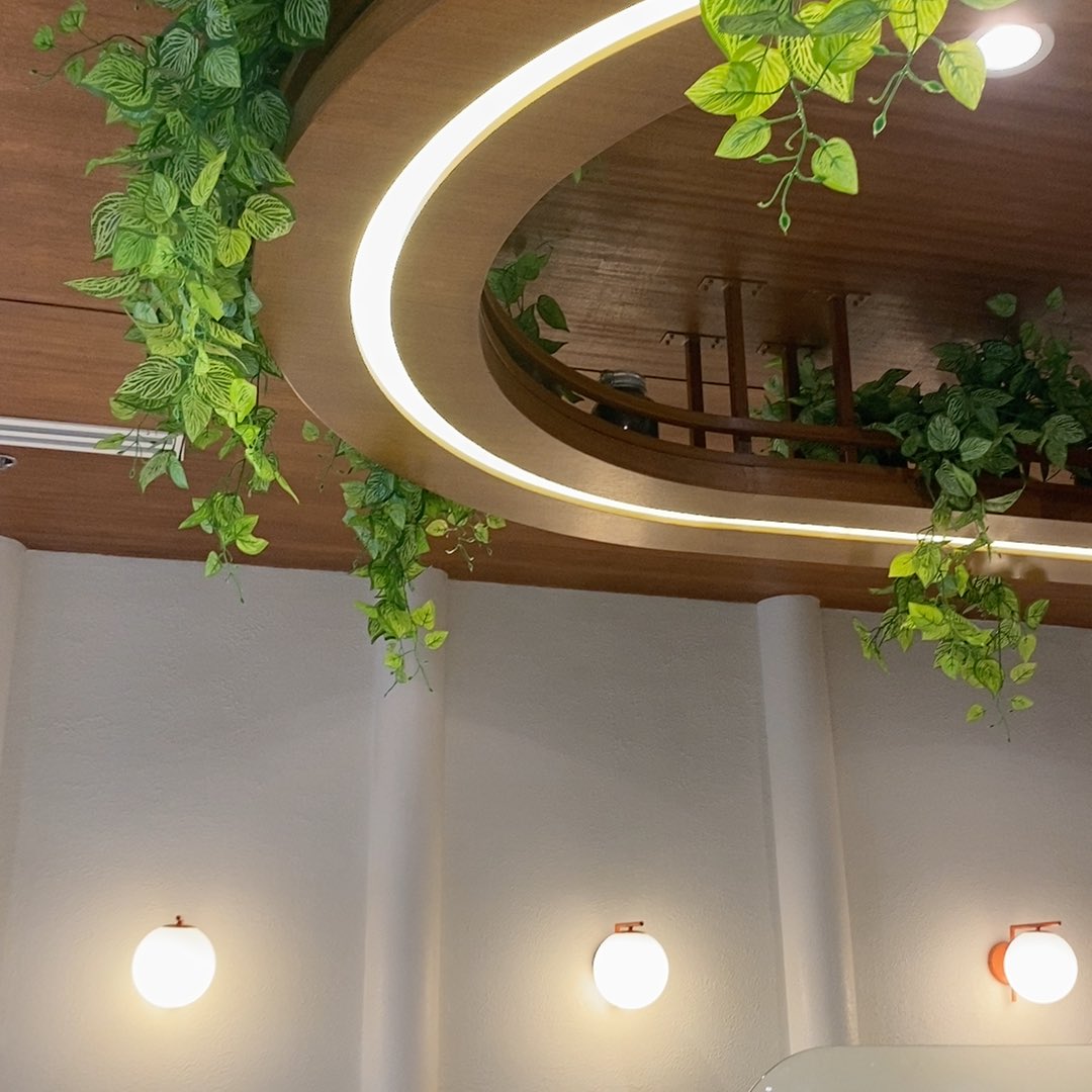 httpzcfia's tweet image. life recently ۶ৎ

#studytwt #studytwtph #archivetwt #lifetwt