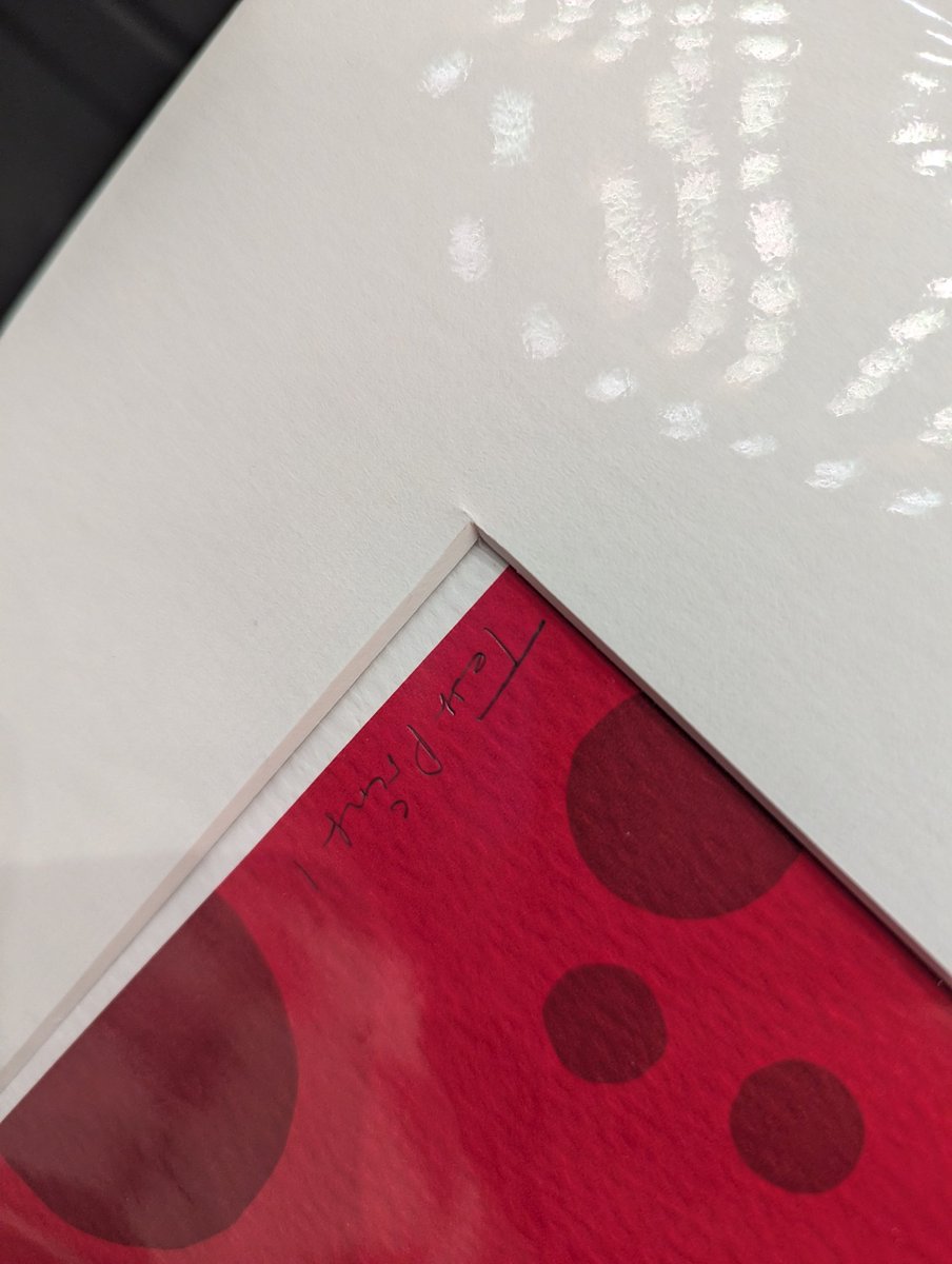 Bat Conservation Trust tweet media