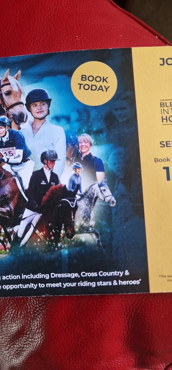 Steve Chambers tweet media