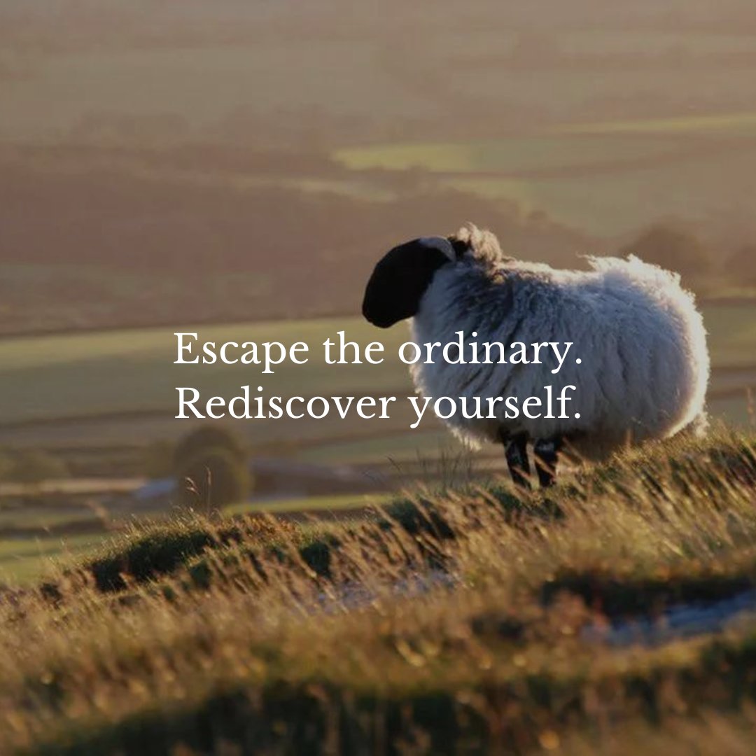 Lose yourself in Dartmoor's beauty. Rediscover yourself at Ilsington ✨