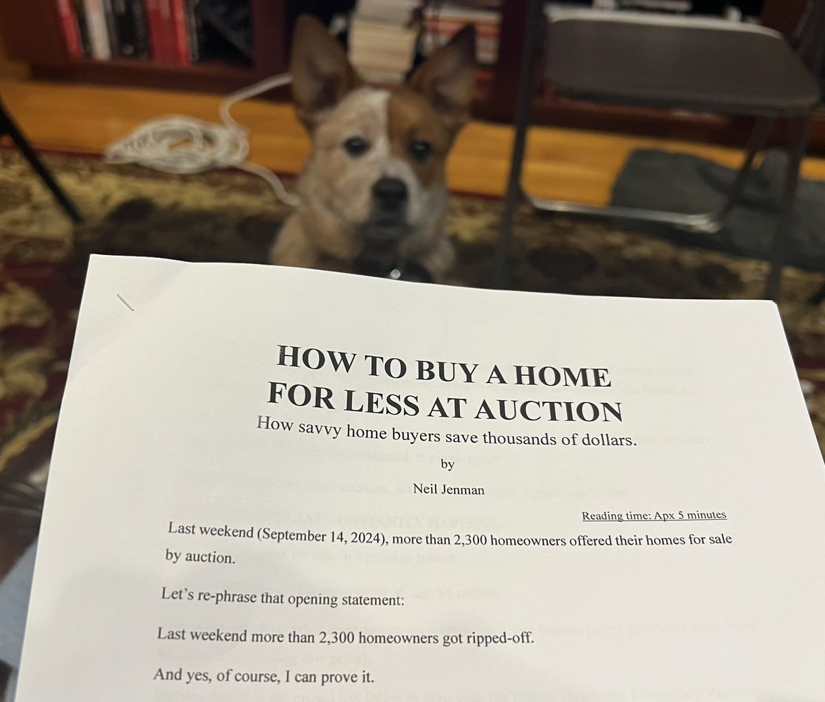 neiljenman's tweet photo. Subscribers to the Jenman website will receive this article tomorrow. How some buyers are now cashing-in on the stupidity of agents and the naivety of their sellers. Profits of a million dollars or more are becoming common. Read about it tomorrow. Subscribe now. https://t.co/5tFqZyW4IY