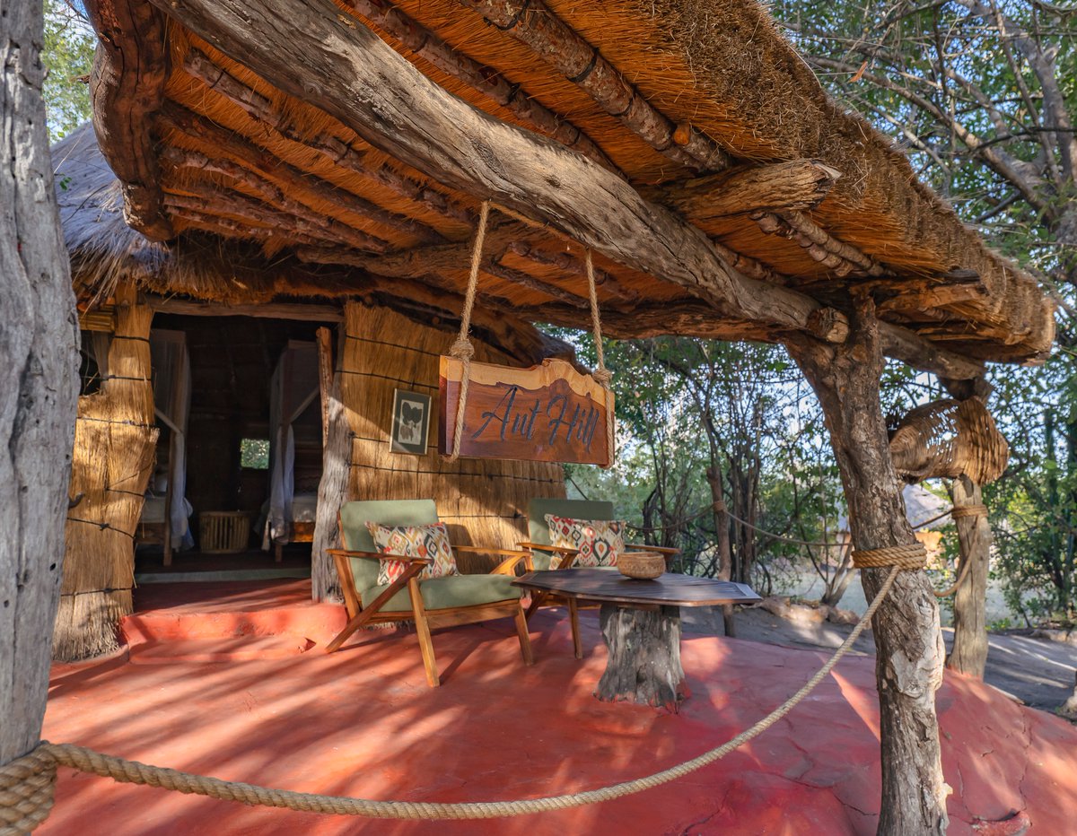 PawsTravels's tweet photo. 1/
MCBRIDE'S CAMP LOCAL SPECIAL
Kafue National Park

$175/person/night, sharing

Includes:
Accommodation
2 Meals per day
2 Activities per day

Excludes: Drinks, Other meals,Park fees,Other activities,Service charge, Transfers,Tourism levy, Gratuities, Anything not mentioned above https://t.co/lW4SV0KMhF