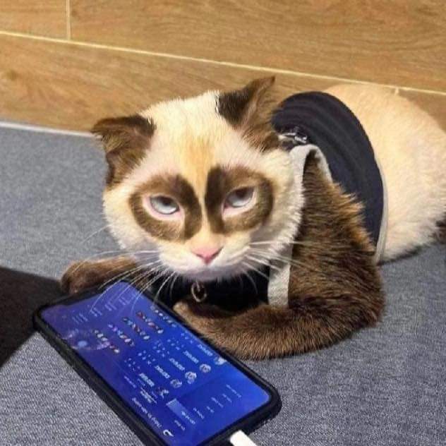 Chamnong Yasaeng tweet media