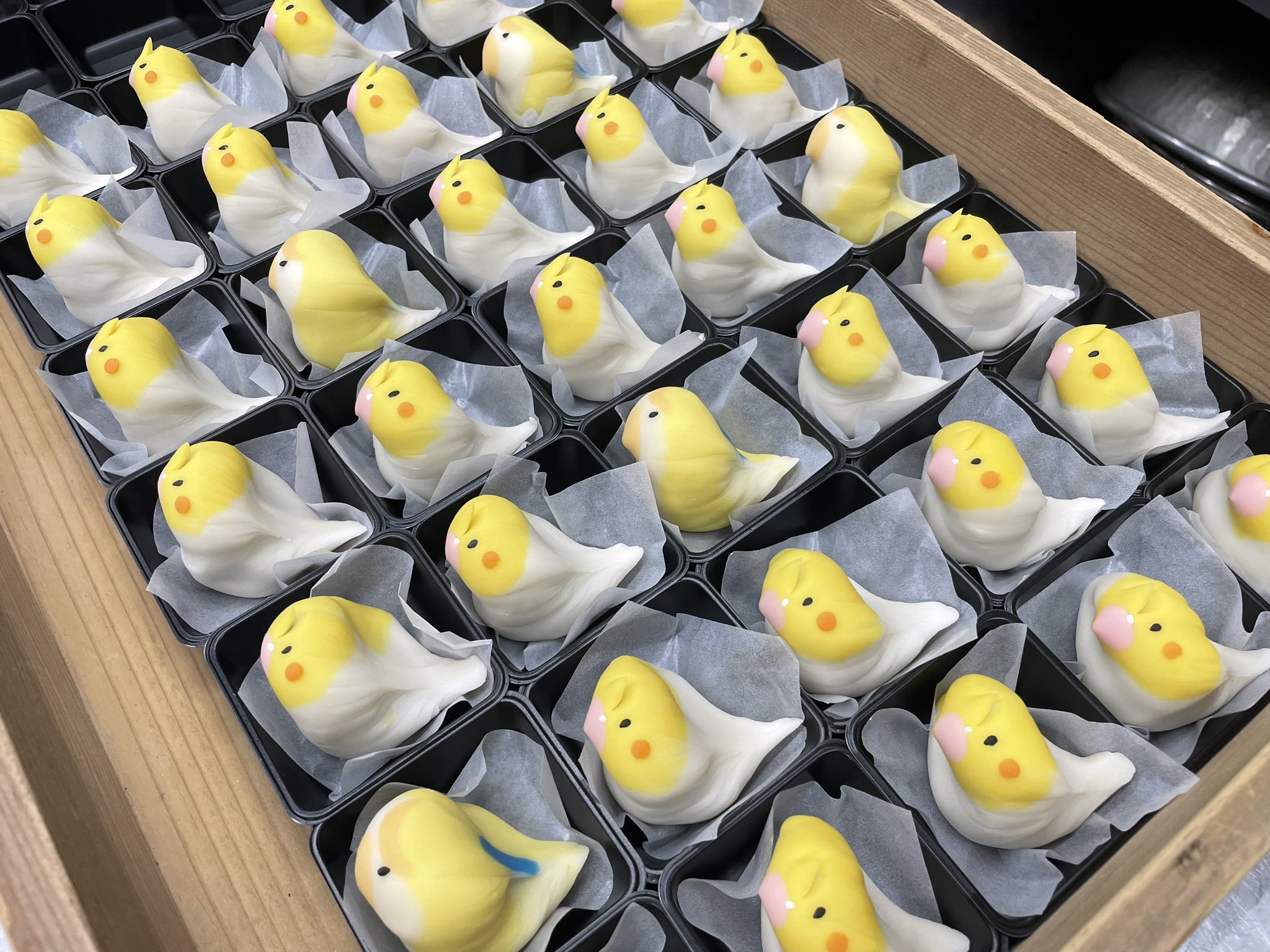 オカメインコさま専用ページ EC-CUBE SHOP / オカメ・セキセイ