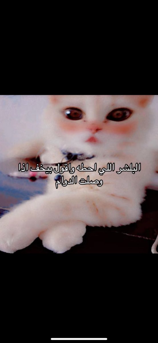 🪄. (@eeeu_up) on Twitter photo 