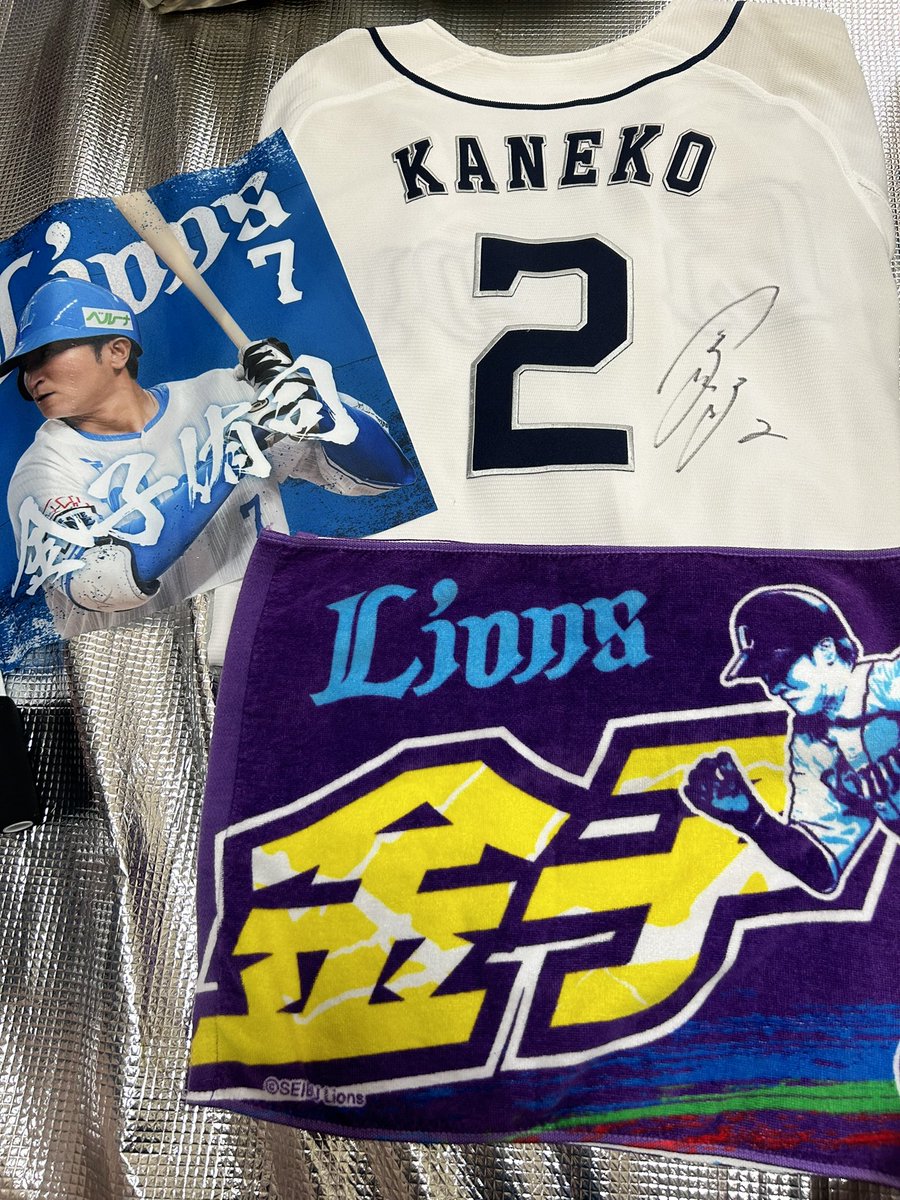 Lions3Dphone's tweet photo. ネコさん全力プレーで最後まで楽しませて下さいねー♪♪🐈
#y_kaneko7
#金子侑司 https://t.co/uHkEpjp9qW
