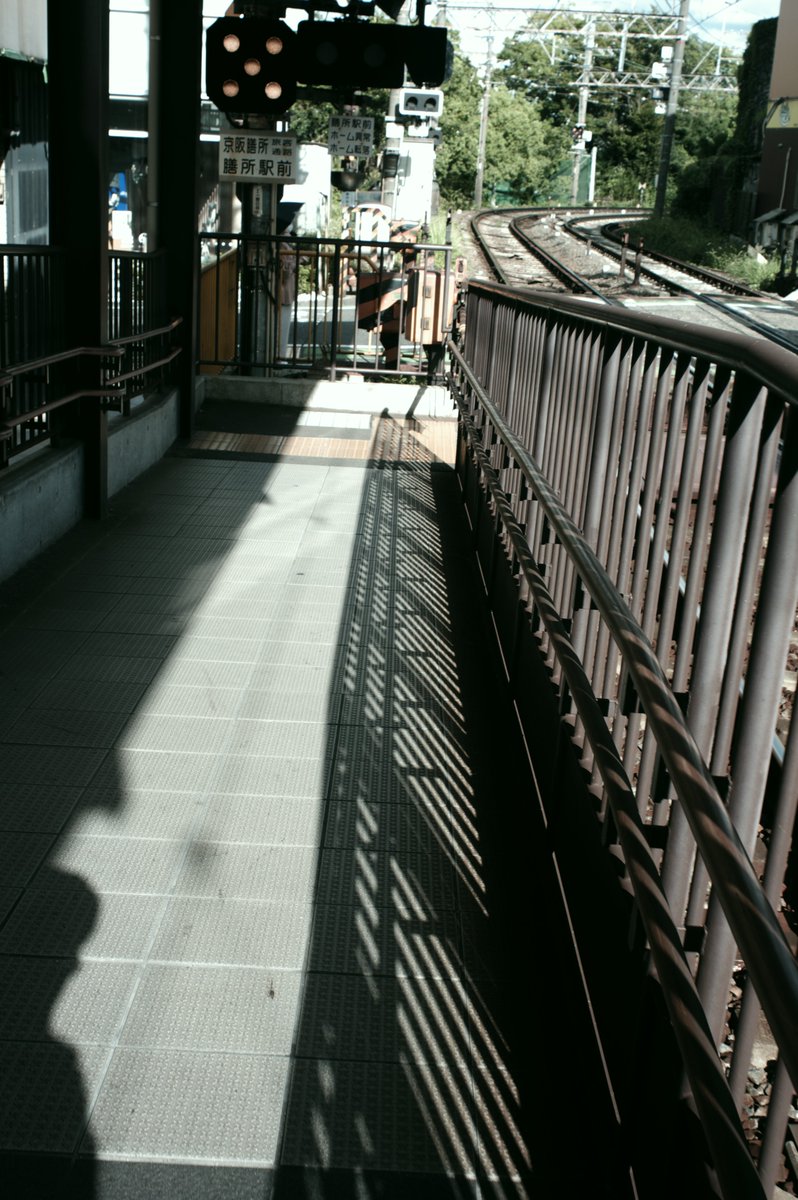 Ryoh_Geek's tweet image. スーパータクマー28mm F3.5 初期型にて
絞るとカチッと、開くと優しい、いいレンズですな
#pentax #takumar