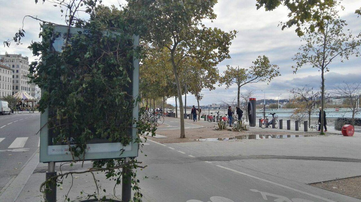 Collectif Plein la Vue tweet media