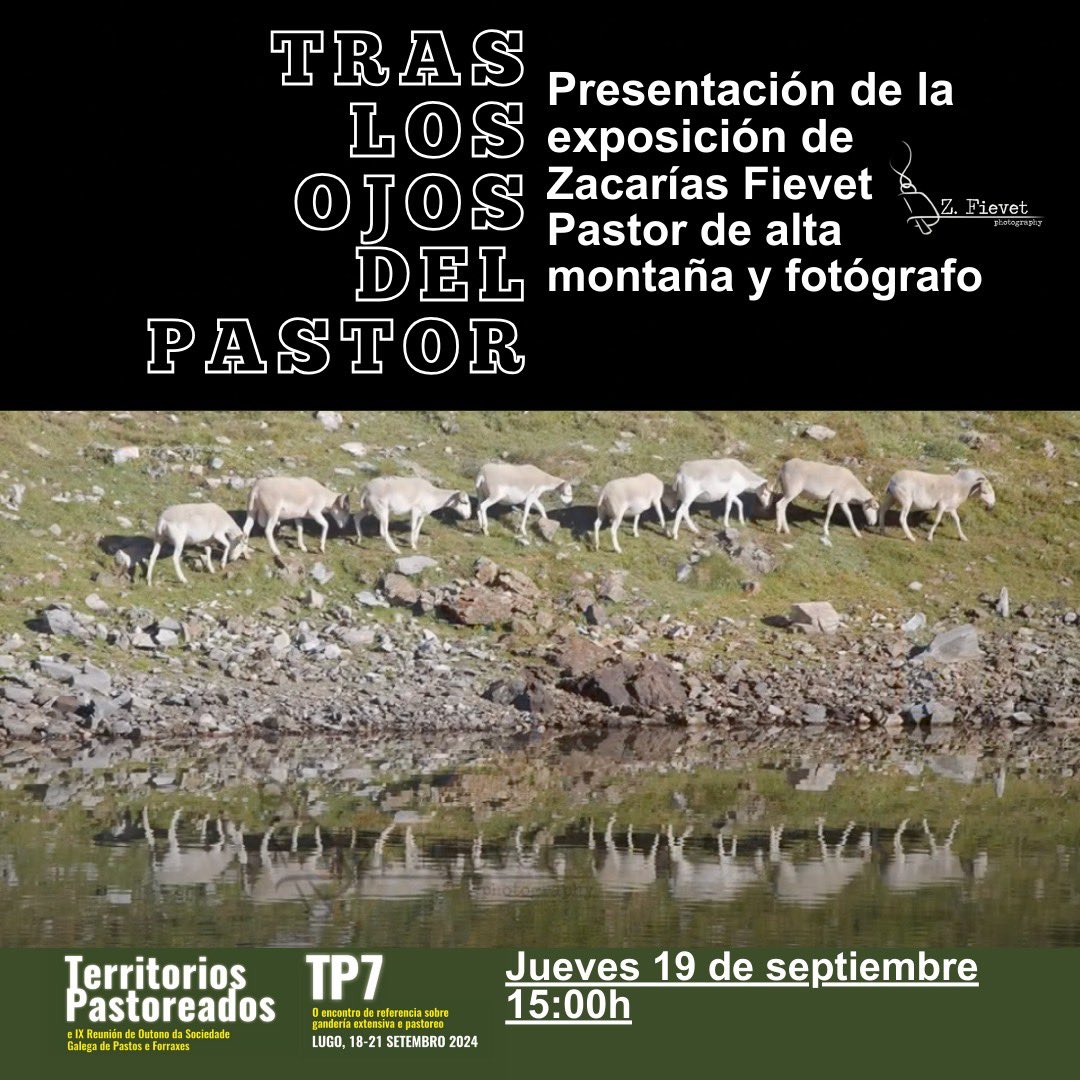 Zacarías Fievet presenta su trabajo “Tras Los Ojos del Pastor” en #TerritoriosPastoreados #Lugo. 
Una exposición fotográfica que invita a contemplar la naturaleza de una manera pausada y con la mirada desde su oficio: el #pastoreo y la #ganaderíaextensiva 💚