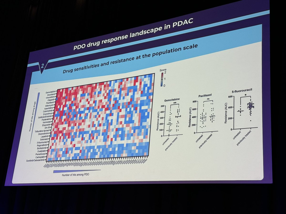 herbloong's tweet photo. Kicking off the @ASCO and @myESMO joint session on development pathways of #noveltherapeutics at #ESMO24 is Dr. Fanny Jailin of #IGR in 🇫🇷 on the emerging role if #patientderivedorganoids (#PDOs) in drug development. @ASCOPres @jrgralow @VivekSubbiah @GPentheroudakis https://t.co/LXnPwVx33a