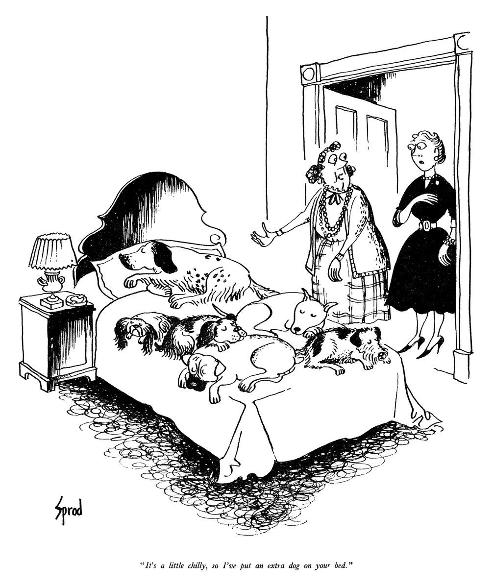 PunchBooks's tweet photo. Today's PUNCH Cartoon Classic. 'It's a little chilly, so I've put another dog on your bed.' Good idea! 🥶🥶🥶 George Sprod 1956 #pets #guests #weather #autumn #heating #hosts #hostesses #cold #climate #solutions #problemsolving #energy https://t.co/GOO2OTbqP3