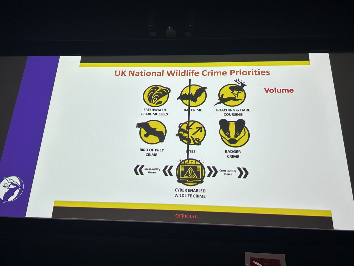 Kit Stoner tweet media