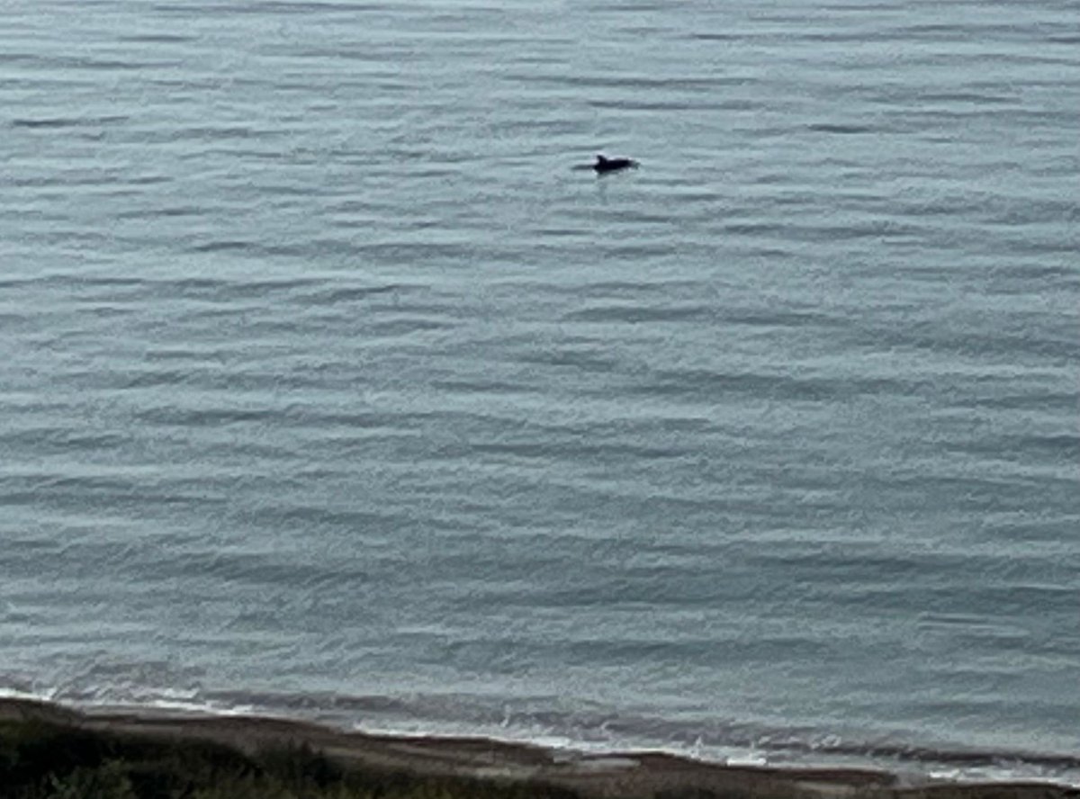 Colin Norris tweet media