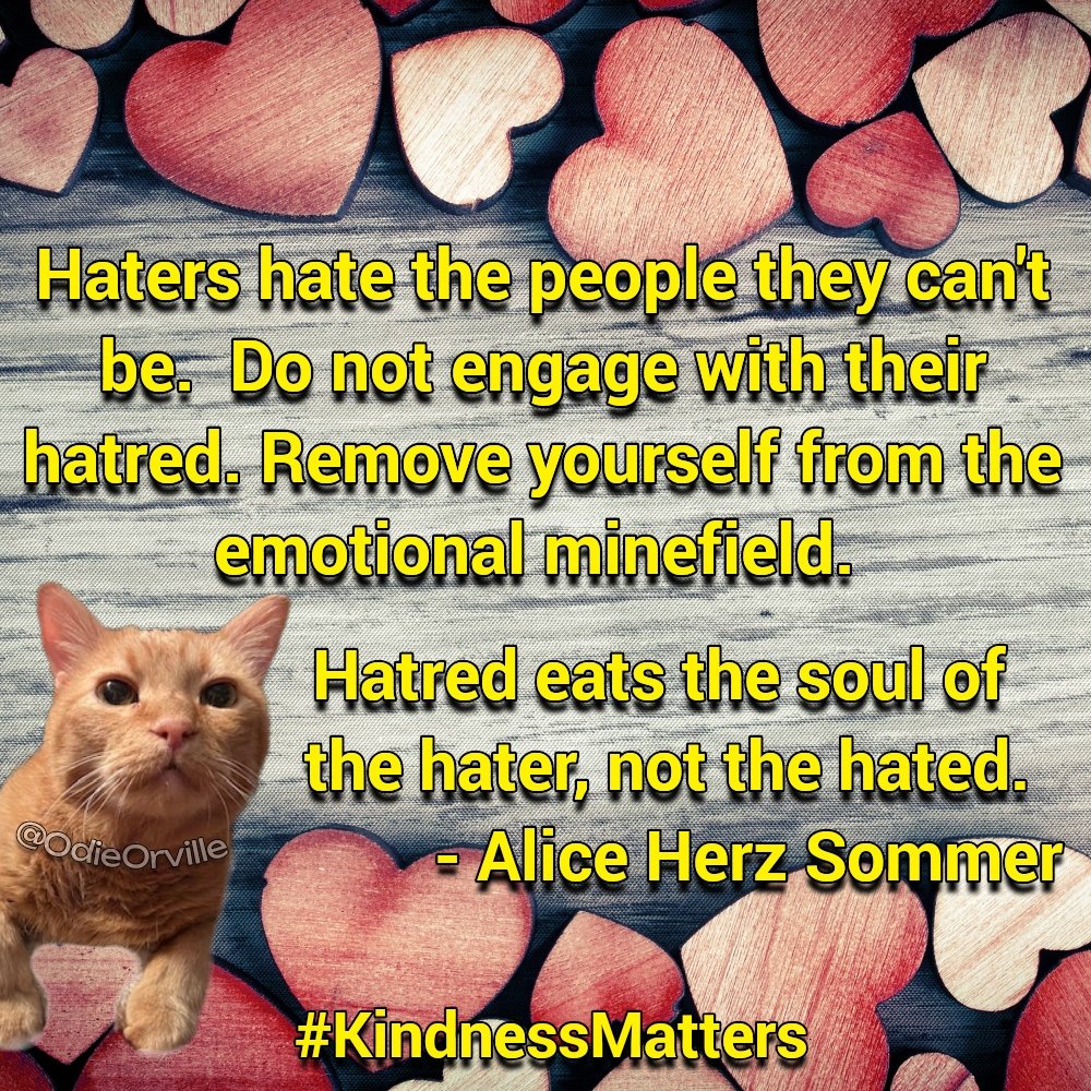 THE Odie Bob Orville 😺 tweet media