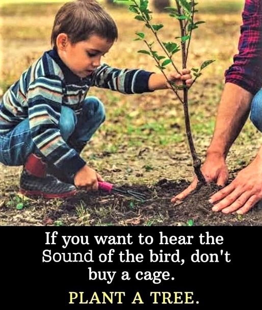 Thoughts

I couldn't say it better.💚☘️🌿🌱🌳🌲🍀💚