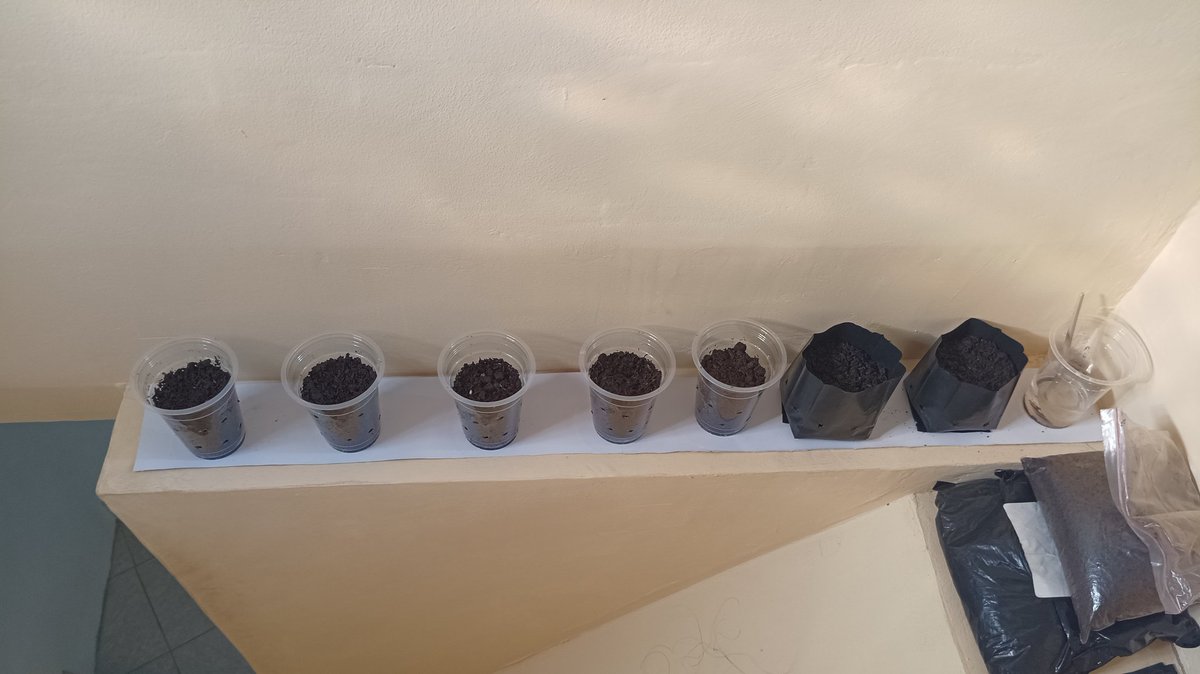 Saturn 🪐 tweet media