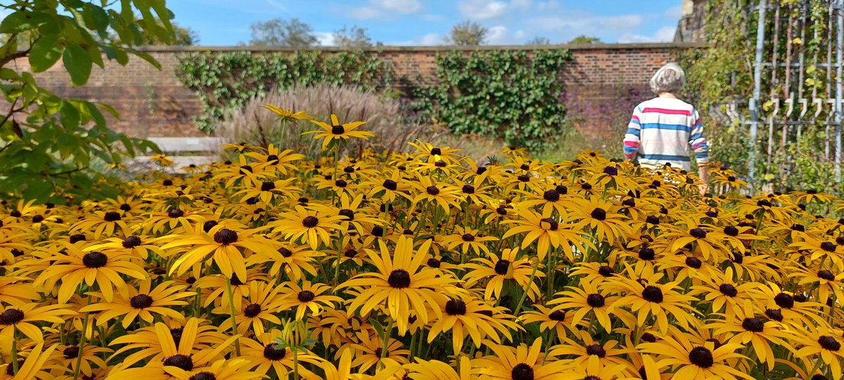 Went to RHS Bridgewater yesterday. Would recommend 10/10.